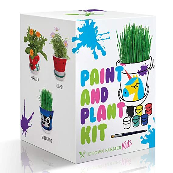 Paint & Plant Flower Craft Kit for Kids - Best Birthday Science Crafts  Gifts for Girls 